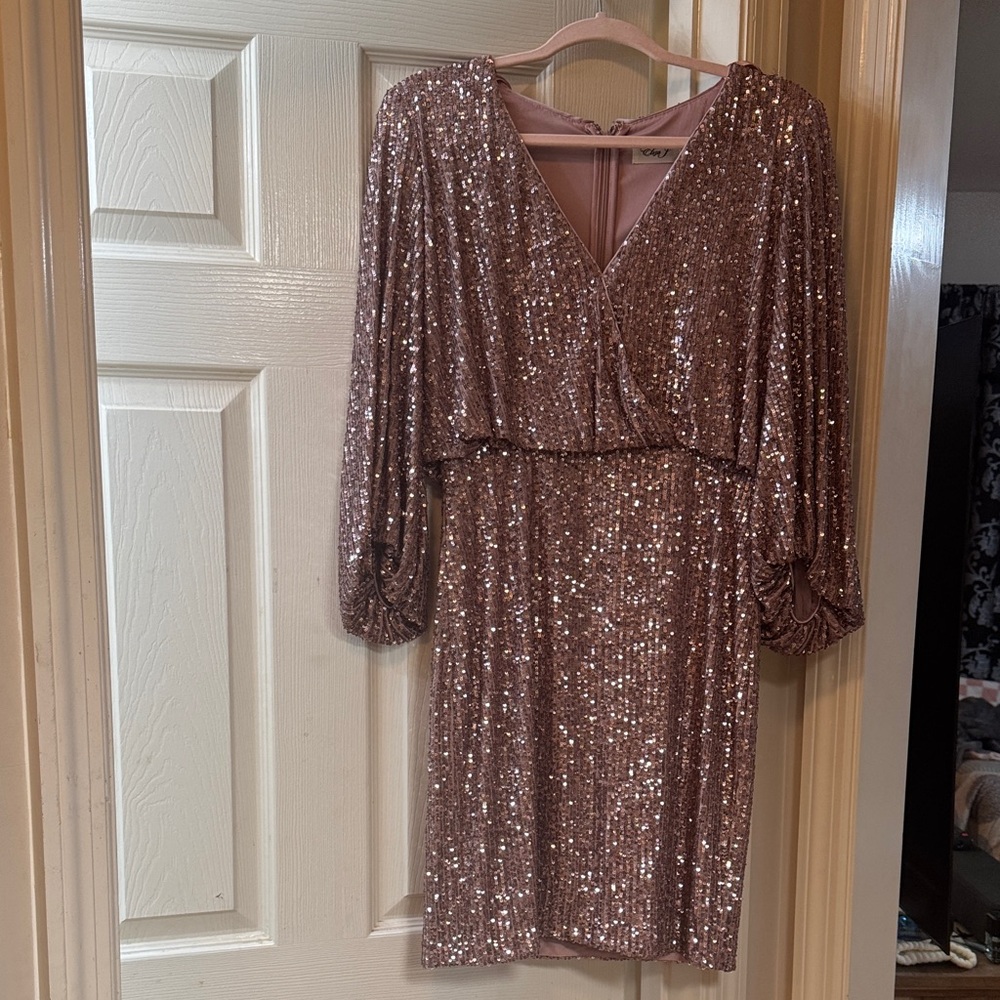 NWT Eliza J Rose Sequin Dress
